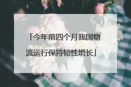 今年前四个月我国物流运行保持韧性增长