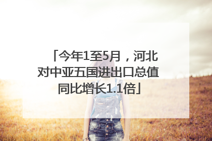 今年1至5月，河北对中亚五国进出口总值同比增长1.1倍