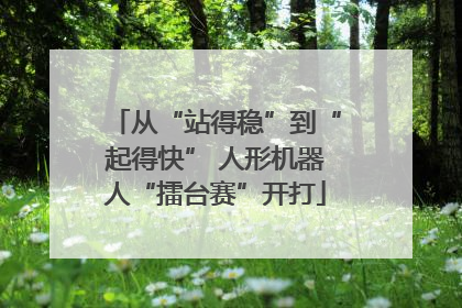 从“站得稳”到“起得快” 人形机器人“擂台赛”开打