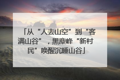 从“人去山空”到“客满山谷”，黑麋峰“新村民”唤醒沉睡山谷