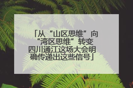 从“山区思维”向“湾区思维”转变 四川通江这场大会明确传递出这些信号