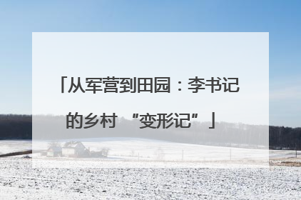 从军营到田园：李书记的乡村 “变形记”