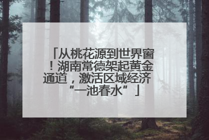 从桃花源到世界窗！湖南常德架起黄金通道，激活区域经济“一池春水”