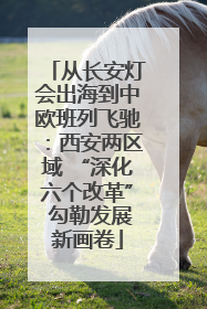 从长安灯会出海到中欧班列飞驰：西安两区域 “深化六个改革” 勾勒发展新画卷