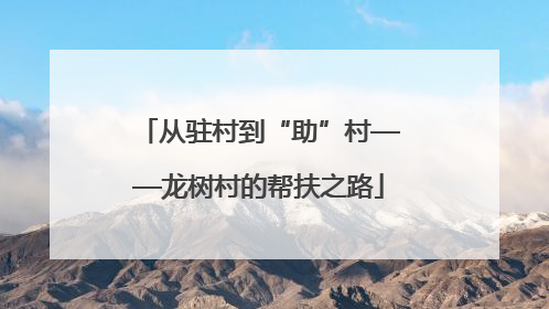 从驻村到“助”村——龙树村的帮扶之路