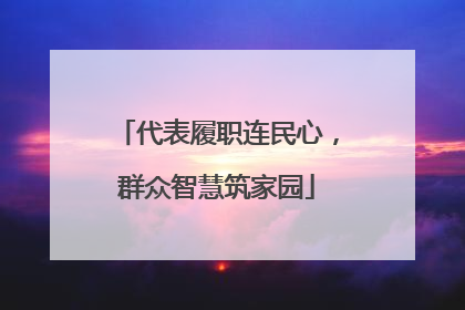 代表履职连民心，群众智慧筑家园