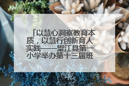 以慧心洞察教育本质，以慧行创新育人实践——望江县第一小学举办第十三届班主任论坛