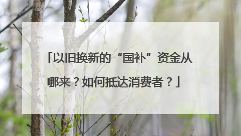 以旧换新的“国补”资金从哪来？如何抵达消费者？