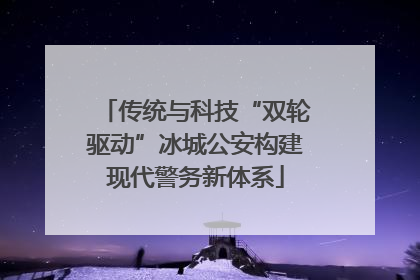 传统与科技“双轮驱动”冰城公安构建现代警务新体系