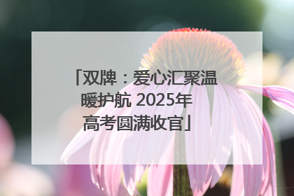 双牌：爱心汇聚温暖护航 2025年高考圆满收官
