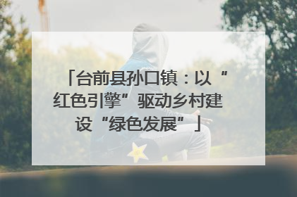 台前县孙口镇：以“红色引擎”驱动乡村建设“绿色发展”