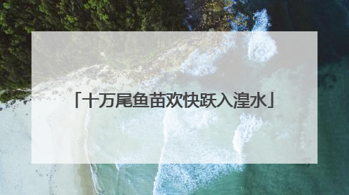 十万尾鱼苗欢快跃入湟水