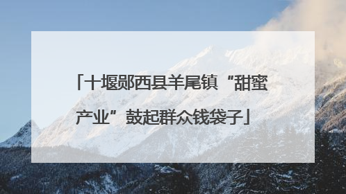 十堰郧西县羊尾镇“甜蜜产业”鼓起群众钱袋子