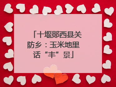 十堰郧西县关防乡：玉米地里话“丰”景