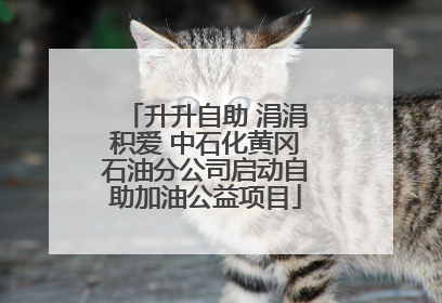 升升自助 涓涓积爱 中石化黄冈石油分公司启动自助加油公益项目