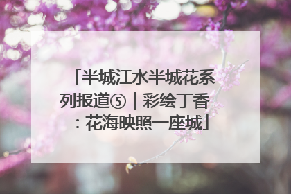 半城江水半城花系列报道⑤｜彩绘丁香：花海映照一座城