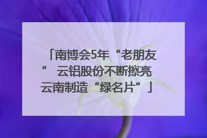 南博会5年“老朋友” 云铝股份不断擦亮云南制造“绿名片”