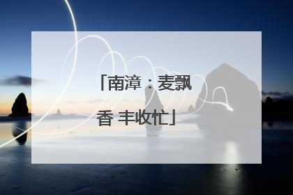 南漳：麦飘香 丰收忙