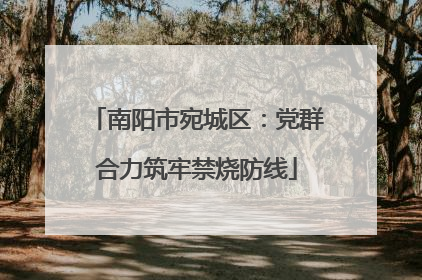 南阳市宛城区：党群合力筑牢禁烧防线
