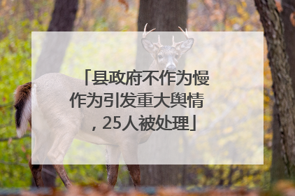 县政府不作为慢作为引发重大舆情，25人被处理