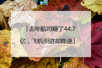 去年航司赚了44.7亿，飞机引进却降速