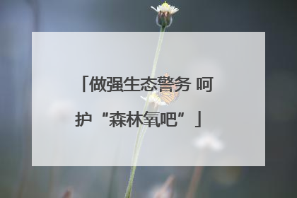 做强生态警务 呵护“森林氧吧”