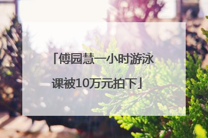 傅园慧一小时游泳课被10万元拍下