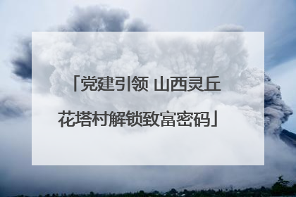 党建引领 山西灵丘花塔村解锁致富密码
