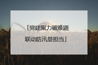 党建聚力破难题 联动防汛显担当
