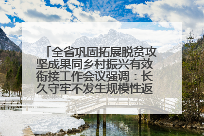 全省巩固拓展脱贫攻坚成果同乡村振兴有效衔接工作会议强调：长久守牢不发生规模性返贫致贫底线 王宁出席并讲话 王予波主持