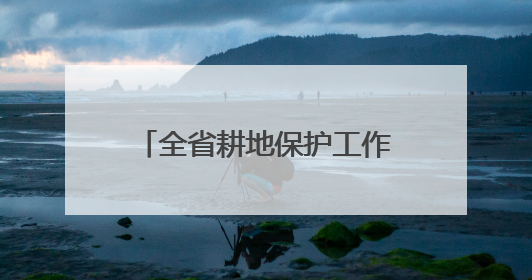 全省耕地保护工作电视电话会议强调：扛牢责任守住耕地保护红线 系统施治夯实粮食安全根基 王宁作出批示 王予波出席并讲话