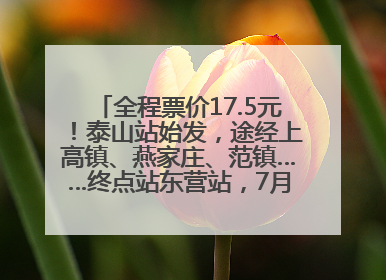 全程票价17.5元！泰山站始发，途经上高镇、燕家庄、范镇……终点站东营站，7月1日开通！