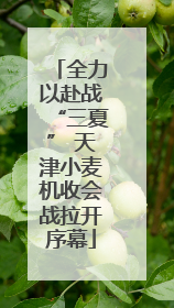 全力以赴战“三夏” 天津小麦机收会战拉开序幕