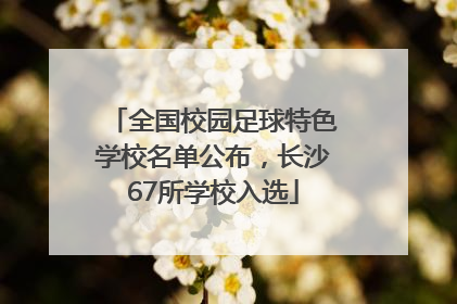 全国校园足球特色学校名单公布，长沙67所学校入选
