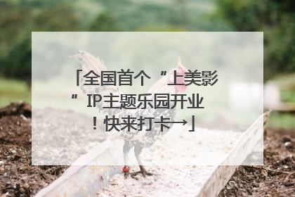 全国首个“上美影”IP主题乐园开业！快来打卡→