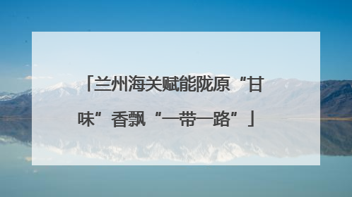 兰州海关赋能陇原“甘味”香飘“一带一路”