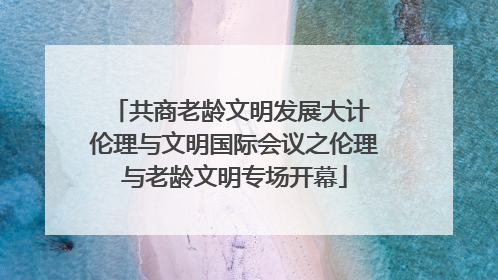 共商老龄文明发展大计 伦理与文明国际会议之伦理与老龄文明专场开幕