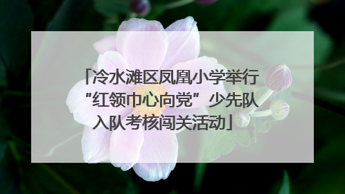 冷水滩区凤凰小学举行“红领巾心向党”少先队入队考核闯关活动