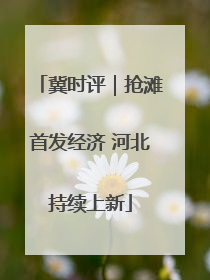 冀时评｜抢滩首发经济 河北持续上新