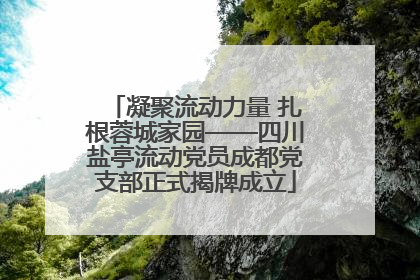 凝聚流动力量 扎根蓉城家园——四川盐亭流动党员成都党支部正式揭牌成立