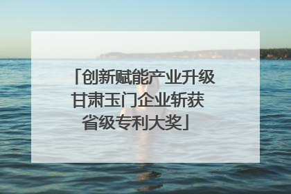 创新赋能产业升级 甘肃玉门企业斩获省级专利大奖