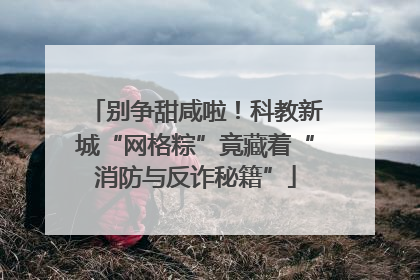 别争甜咸啦！科教新城“网格粽”竟藏着“消防与反诈秘籍”