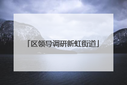 区领导调研新虹街道