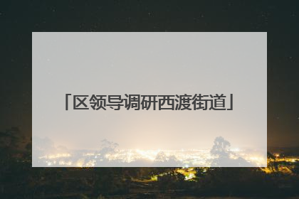 区领导调研西渡街道
