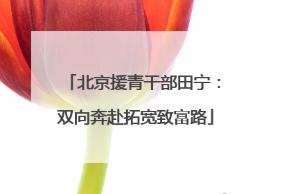 北京援青干部田宁：双向奔赴拓宽致富路