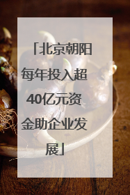 北京朝阳每年投入超40亿元资金助企业发展