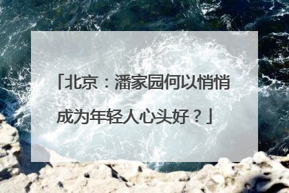 北京：潘家园何以悄悄成为年轻人心头好？