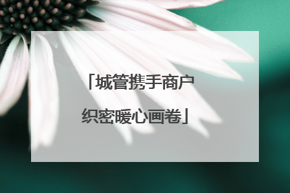 城管携手商户 织密暖心画卷