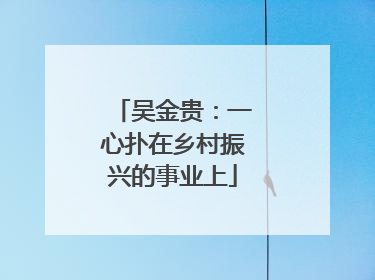 吴金贵：一心扑在乡村振兴的事业上