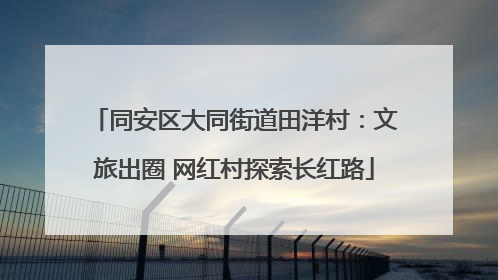 同安区大同街道田洋村：文旅出圈 网红村探索长红路